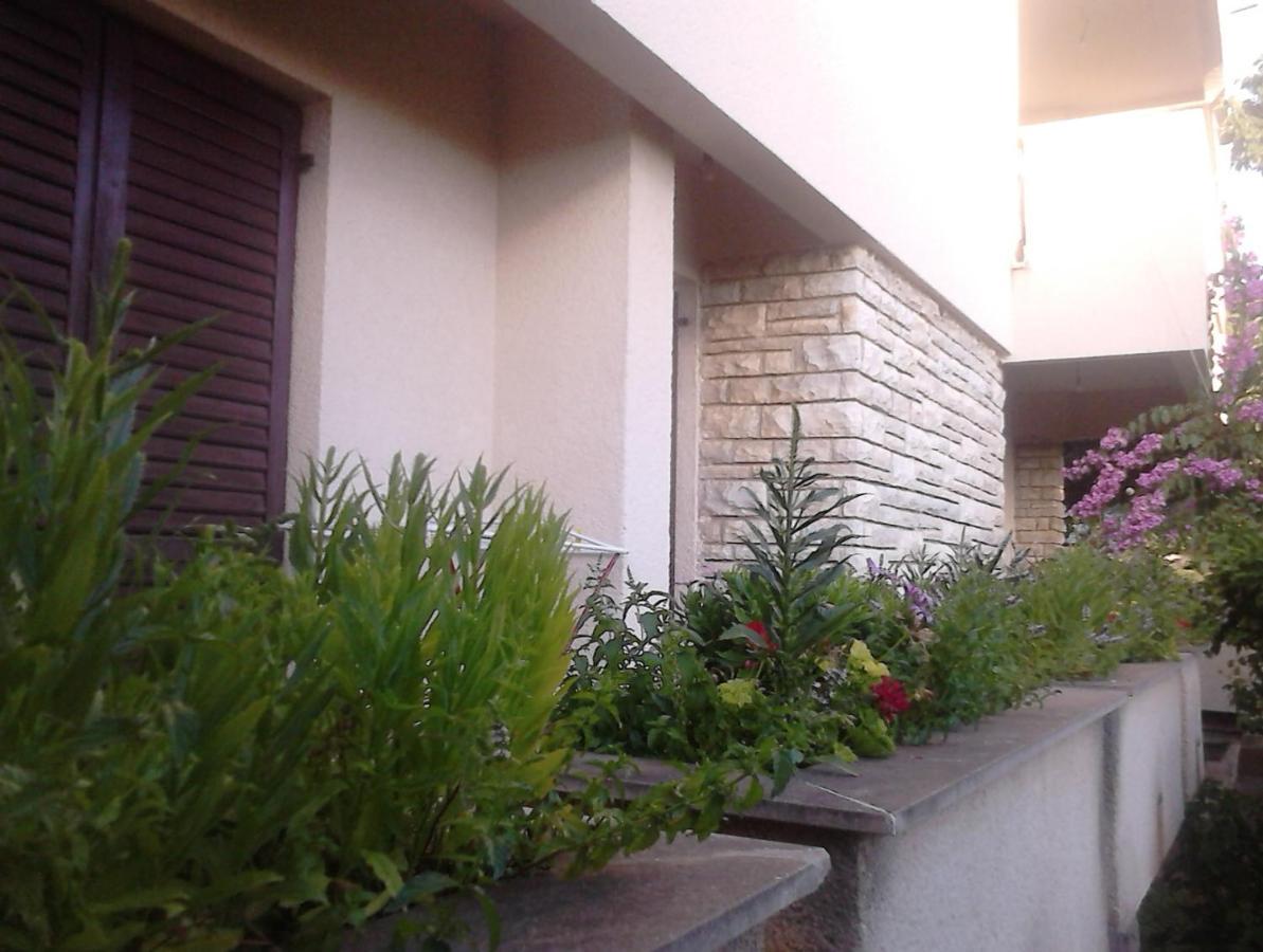 Apartments With A Parking Space Zadar - Diklo, Zadar - 13327 ภายนอก รูปภาพ
